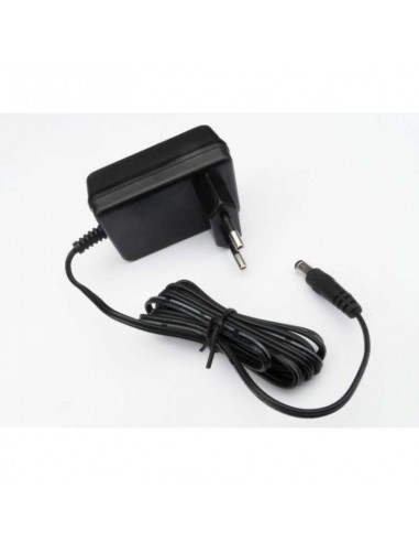 12V Coches Eléctricos Infantiles -