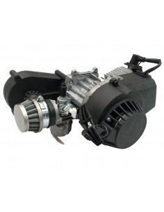Motor 49cc 2 tiempos