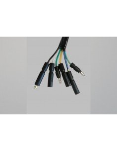 Encendido 2 Bobinas 2