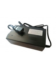 Cargador 48V Schuko Plomo