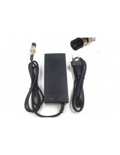 Cargador Batería Plomo 36V