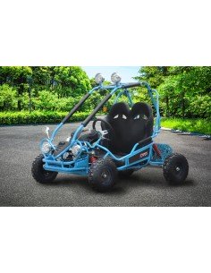 Buggy Eléctrico Infantil 750W Brushless Biplaza