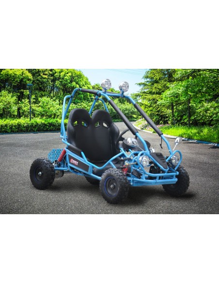 Buggy Eléctrico Infantil 750W Brushless Biplaza