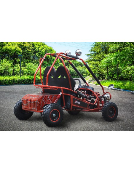 Buggy Eléctrico Infantil 750W Brushless Biplaza